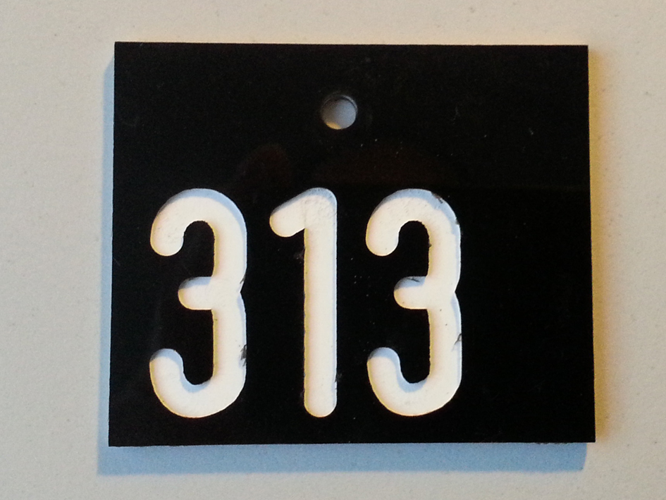 Schild 313